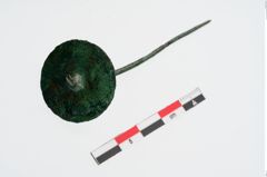 Foto von Bronzeschlangenfibel (NHMW-PRAE-024325)
